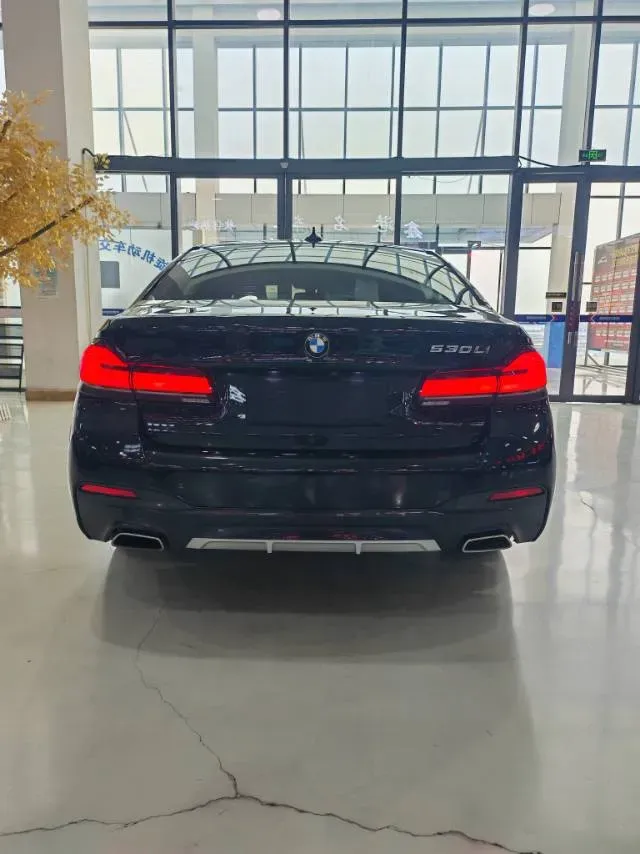 2021 BMW 5 Series 2.0T 252HP L4 8AT,autocango,china used car exporter,china ev exporter,chinese used car exporter,chinese used ev exporter