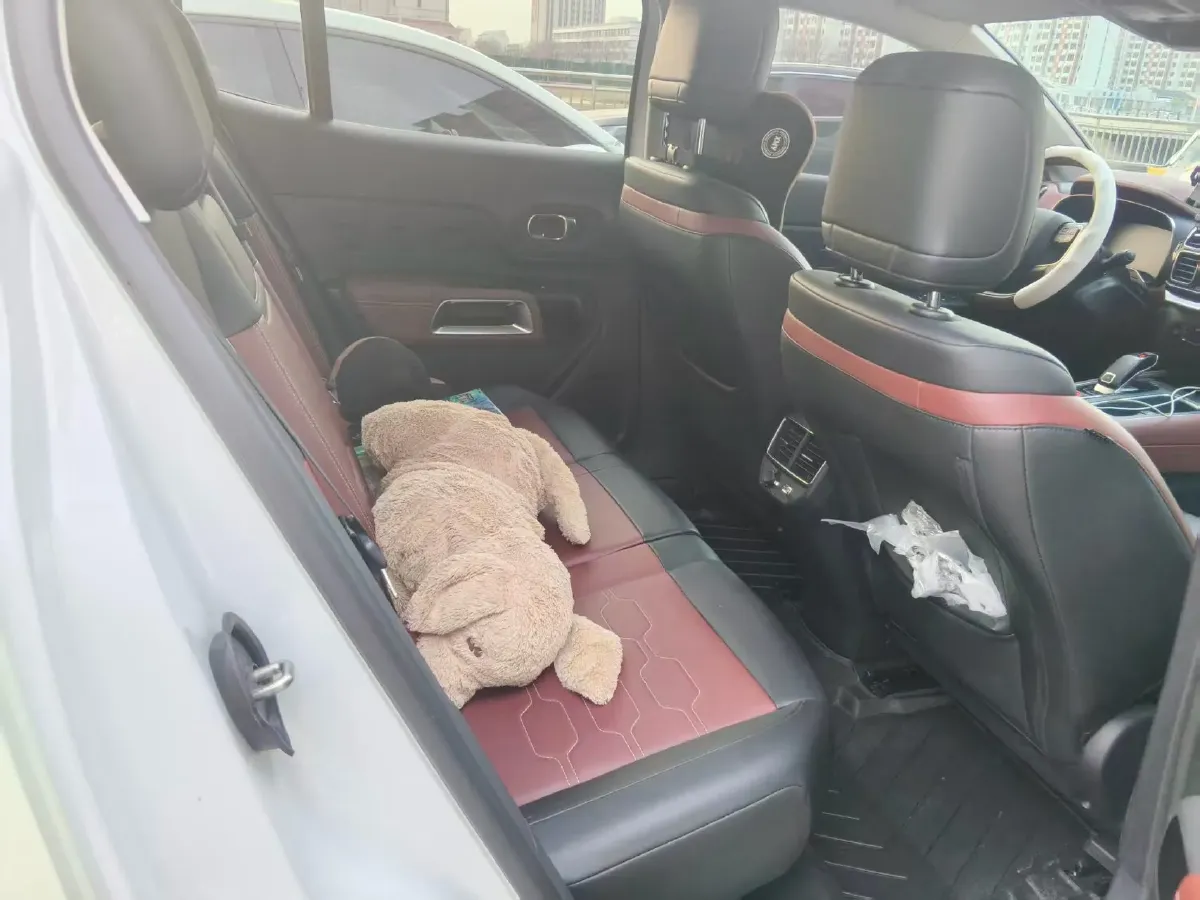 2022 Citroen C5 Aircross 1.8T 211HP L4 8AT,autocango,china used car exporter,china ev exporter,chinese used car exporter,chinese used ev exporter