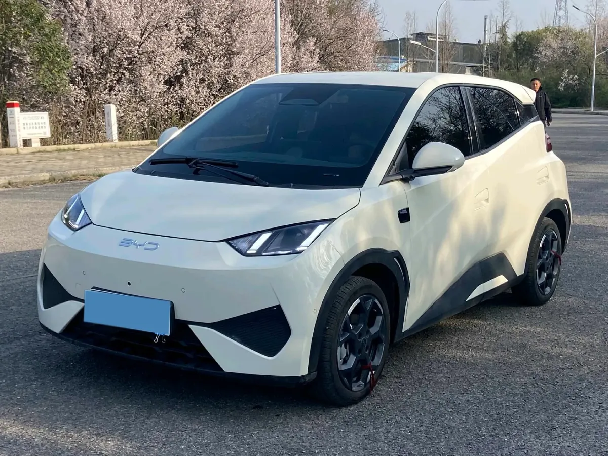 2025 BYD Seagull BEV 30.08KWH,autocango,china used car exporter,china ev exporter,chinese used car exporter,chinese used ev exporter