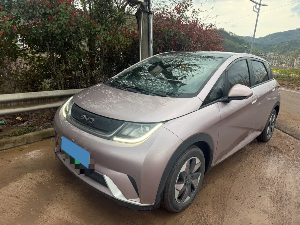 2024 BYD Dolphin BEV 44.928KWH,autocango,china used car exporter,china ev exporter,chinese used car exporter,chinese used ev exporter