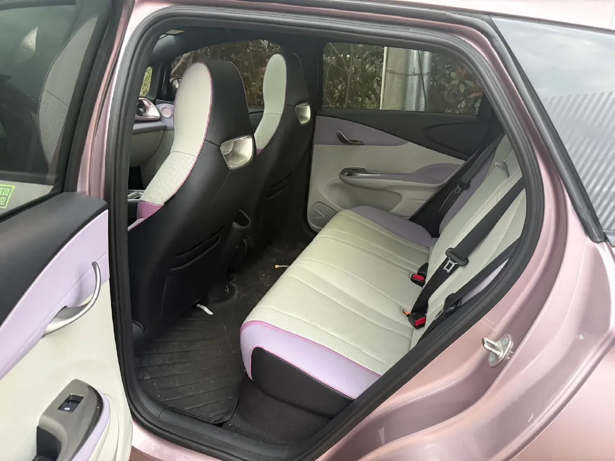 2024 BYD Dolphin BEV 44.928KWH,autocango,china used car exporter,china ev exporter,chinese used car exporter,chinese used ev exporter