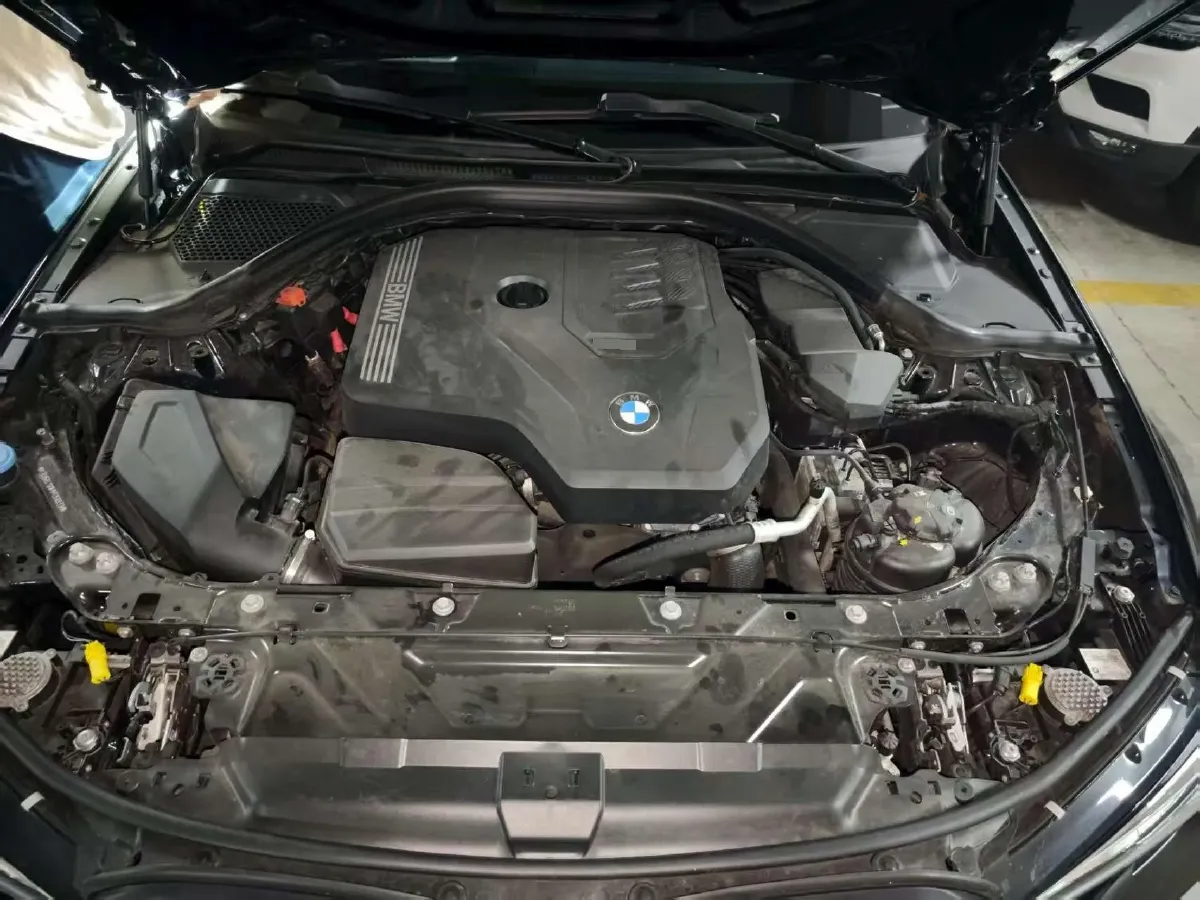 2021 BMW 3 Series 2.0T 184HP L4 8AT,autocango,china used car exporter,china ev exporter,chinese used car exporter,chinese used ev exporter