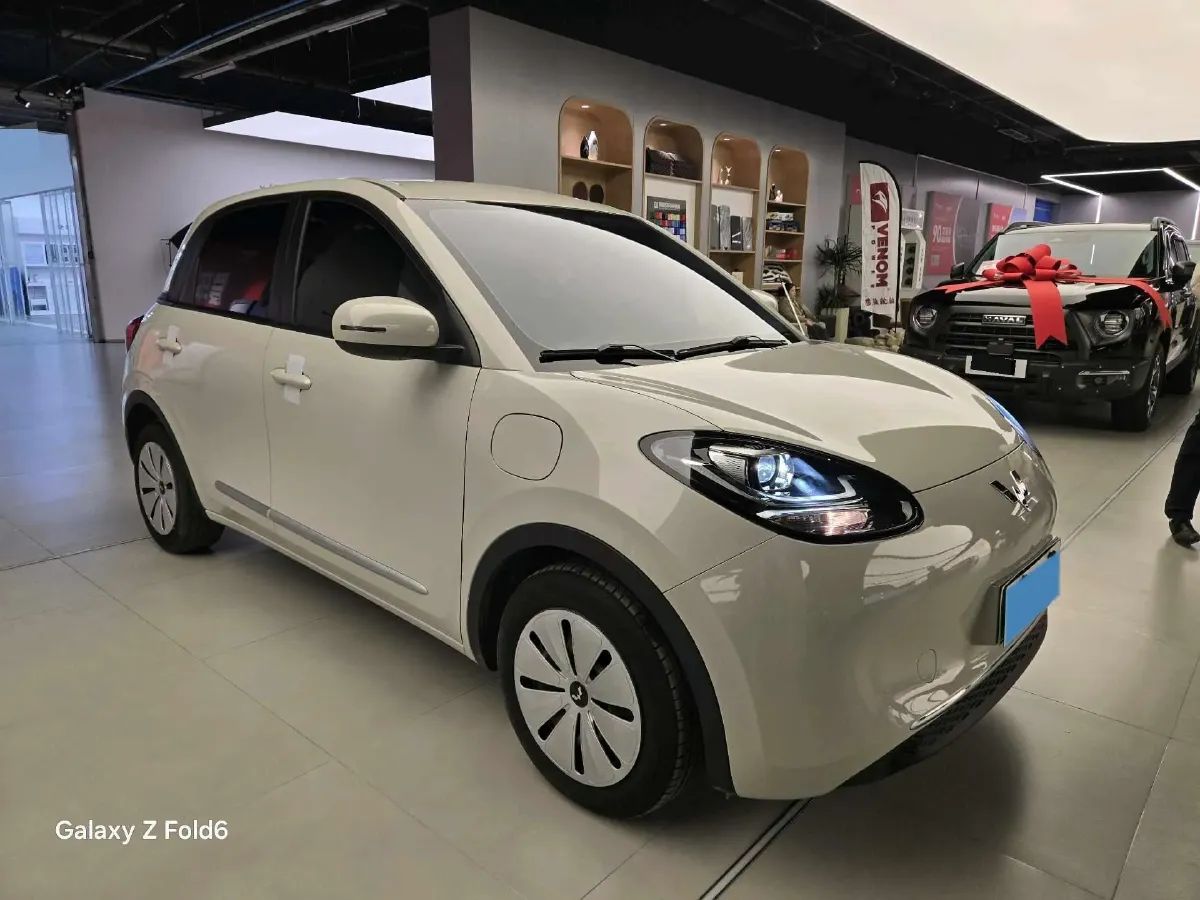 2023 WuLing BinGuo BEV 17.3KWH,autocango,china used car exporter,china ev exporter,chinese used car exporter,chinese used ev exporter