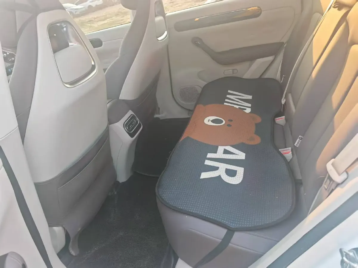 2023 Leapmotor C11 Range Extended 131HP REEV 30.1KWH,autocango,china used car exporter,china ev exporter,chinese used car exporter,chinese used ev exporter