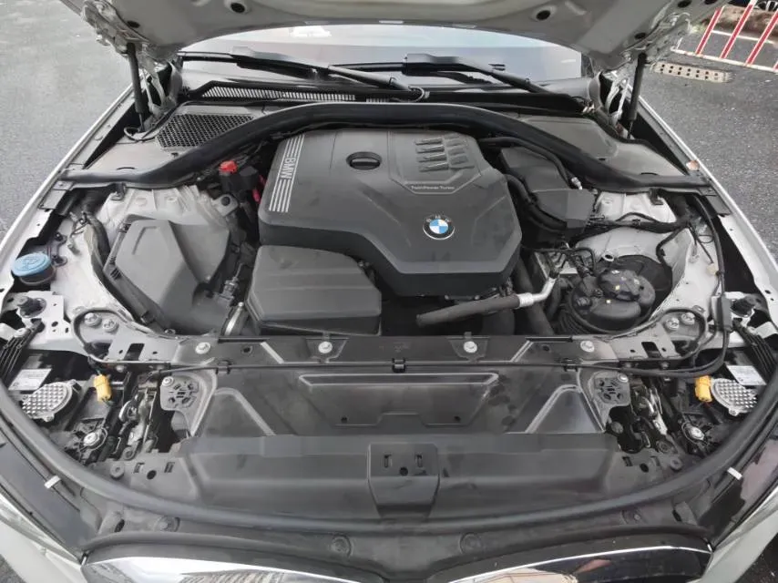 2021 BMW 3 Series 2.0T 156HP L4 8AT,autocango,china used car exporter,china ev exporter,chinese used car exporter,chinese used ev exporter