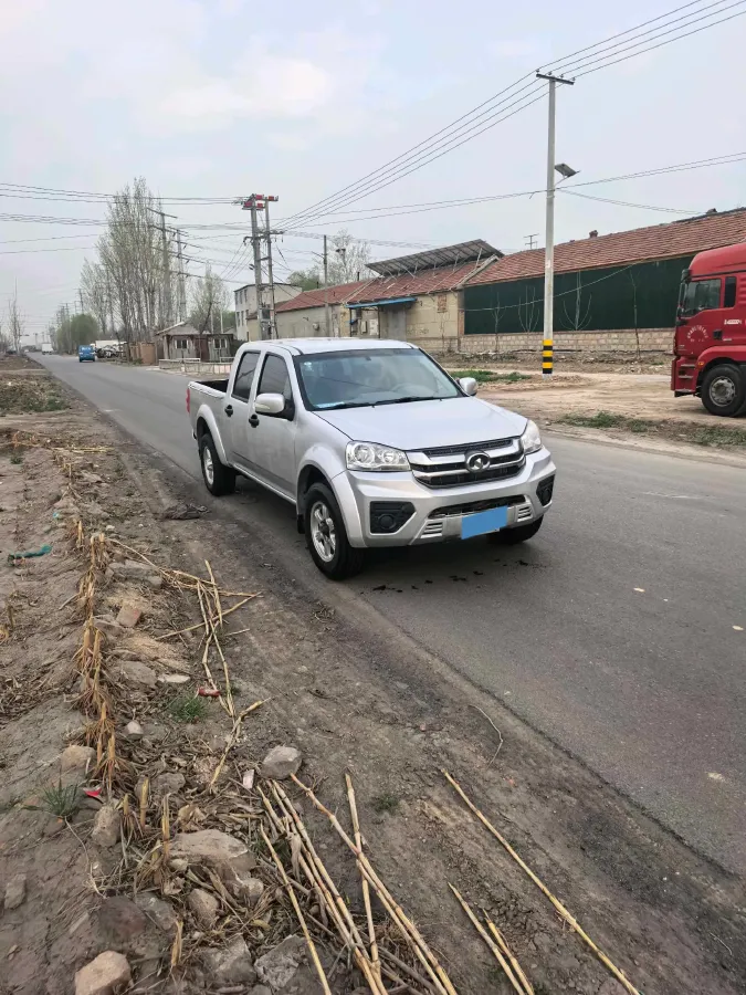 2021 Great Wall Wingle 5 2.0T 139HP L4 6MT,autocango,china used car exporter,china ev exporter,chinese used car exporter,chinese used ev exporter
