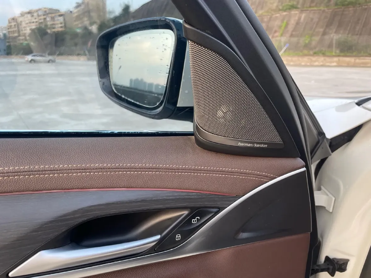 2021 BMW 5 Series 2.0T 252HP L4 8AT,autocango,china used car exporter,china ev exporter,chinese used car exporter,chinese used ev exporter