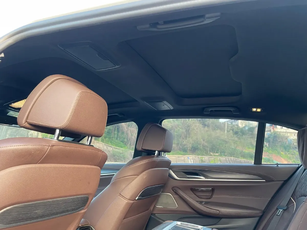 2021 BMW 5 Series 2.0T 252HP L4 8AT,autocango,china used car exporter,china ev exporter,chinese used car exporter,chinese used ev exporter