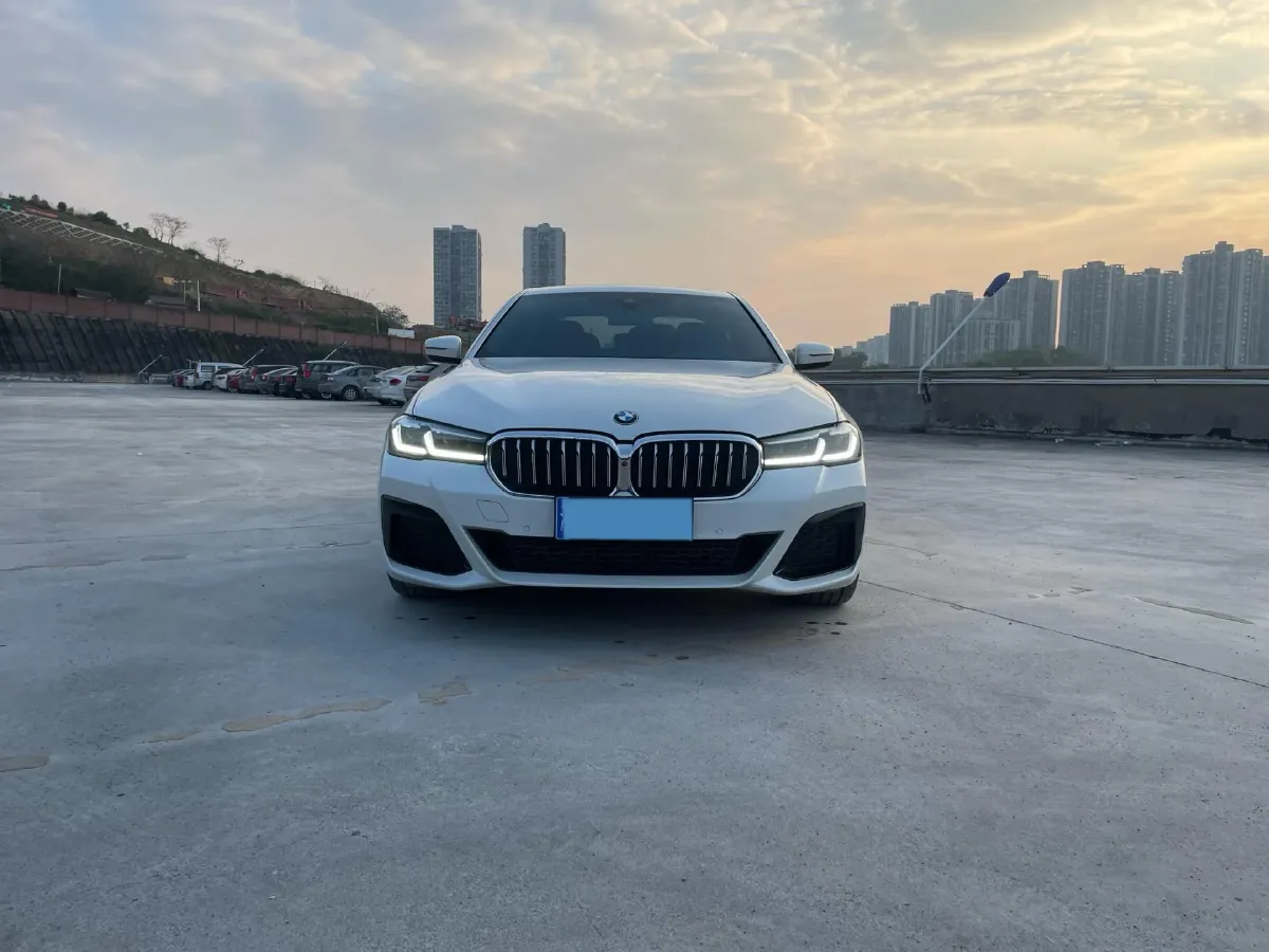 2021 BMW 5 Series 2.0T 252HP L4 8AT,autocango,china used car exporter,china ev exporter,chinese used car exporter,chinese used ev exporter