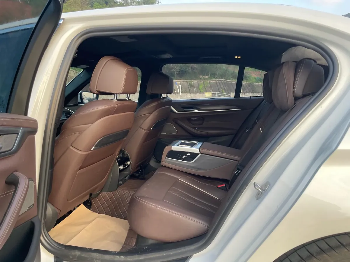 2021 BMW 5 Series 2.0T 252HP L4 8AT,autocango,china used car exporter,china ev exporter,chinese used car exporter,chinese used ev exporter