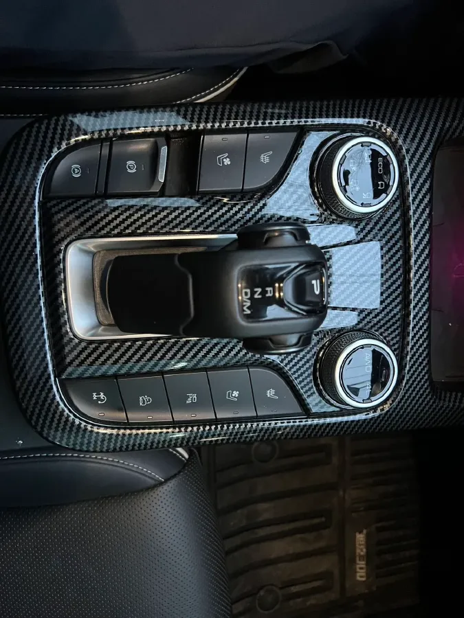 2021 Tank 300 2.0T 227HP L4 8AT,autocango,china used car exporter,china ev exporter,chinese used car exporter,chinese used ev exporter