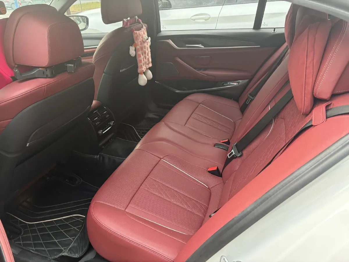 2021 BMW 5 Series 2.0T 252HP L4 8AT,autocango,china used car exporter,china ev exporter,chinese used car exporter,chinese used ev exporter