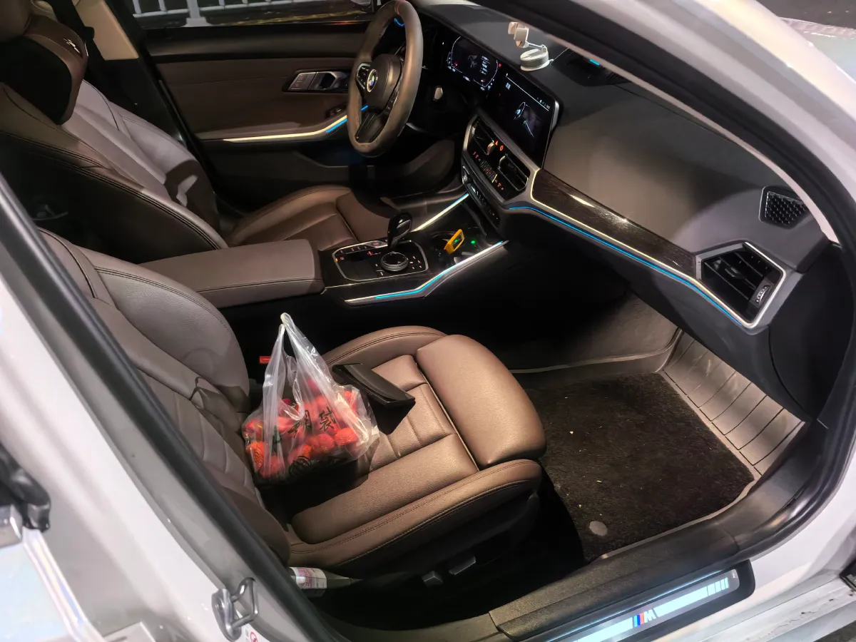 2020 BMW 3 Series 2.0T 184HP L4 8AT,autocango,china used car exporter,china ev exporter,chinese used car exporter,chinese used ev exporter