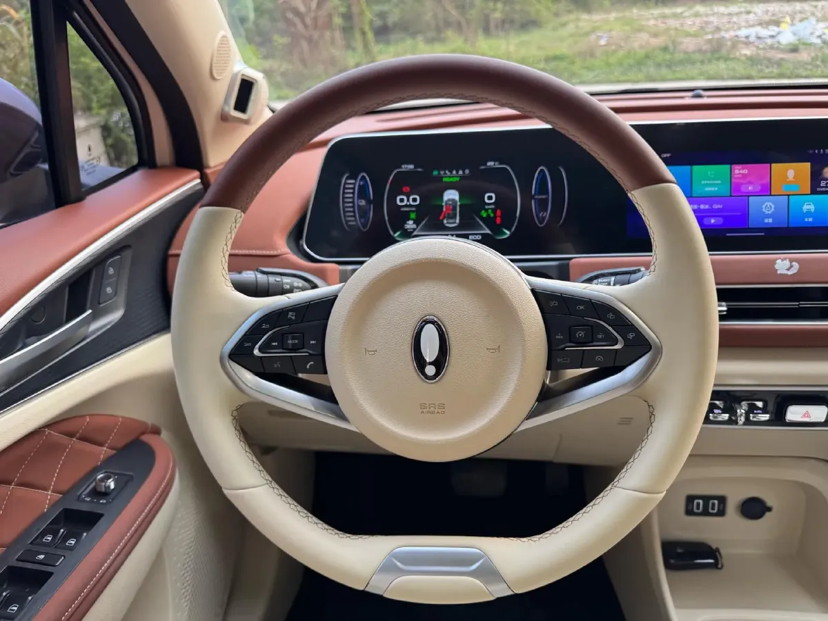 2021 Ora FunkyCat BEV 45.99KWH,autocango,china used car exporter,china ev exporter,chinese used car exporter,chinese used ev exporter