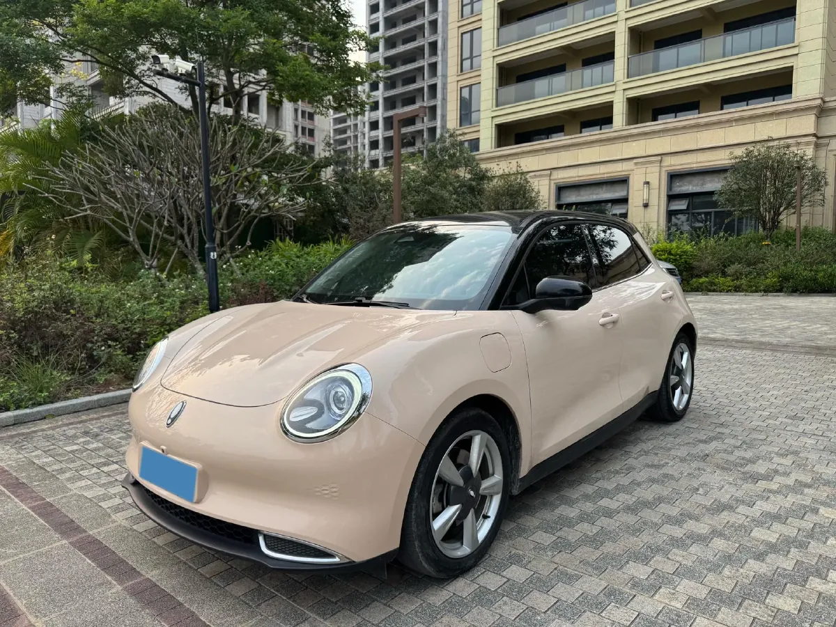 2021 Ora FunkyCat BEV 45.99KWH,autocango,china used car exporter,china ev exporter,chinese used car exporter,chinese used ev exporter