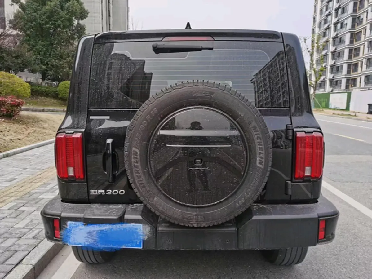 2024 Tank 300 2.0T 252HP L4 9AT,autocango,china used car exporter,china ev exporter,chinese used car exporter,chinese used ev exporter