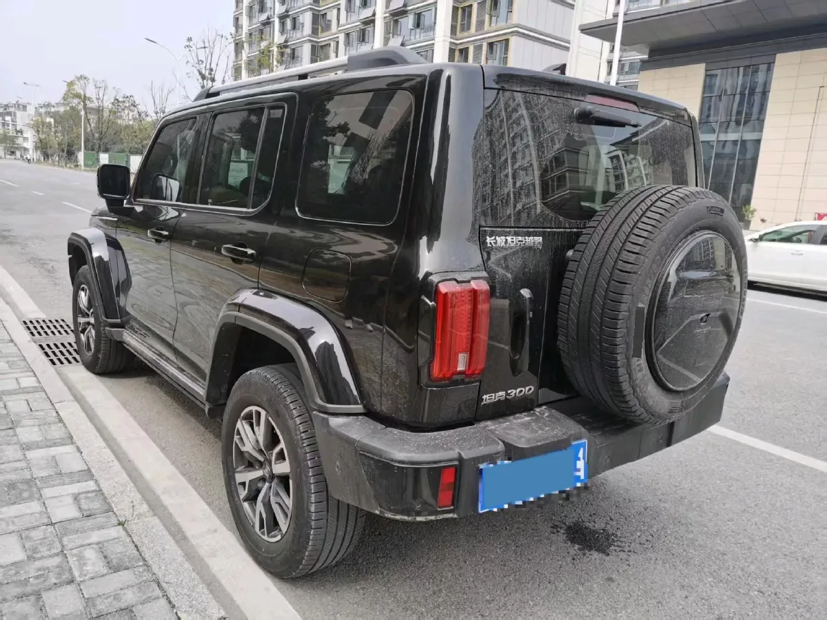 2024 Tank 300 2.0T 252HP L4 9AT,autocango,china used car exporter,china ev exporter,chinese used car exporter,chinese used ev exporter