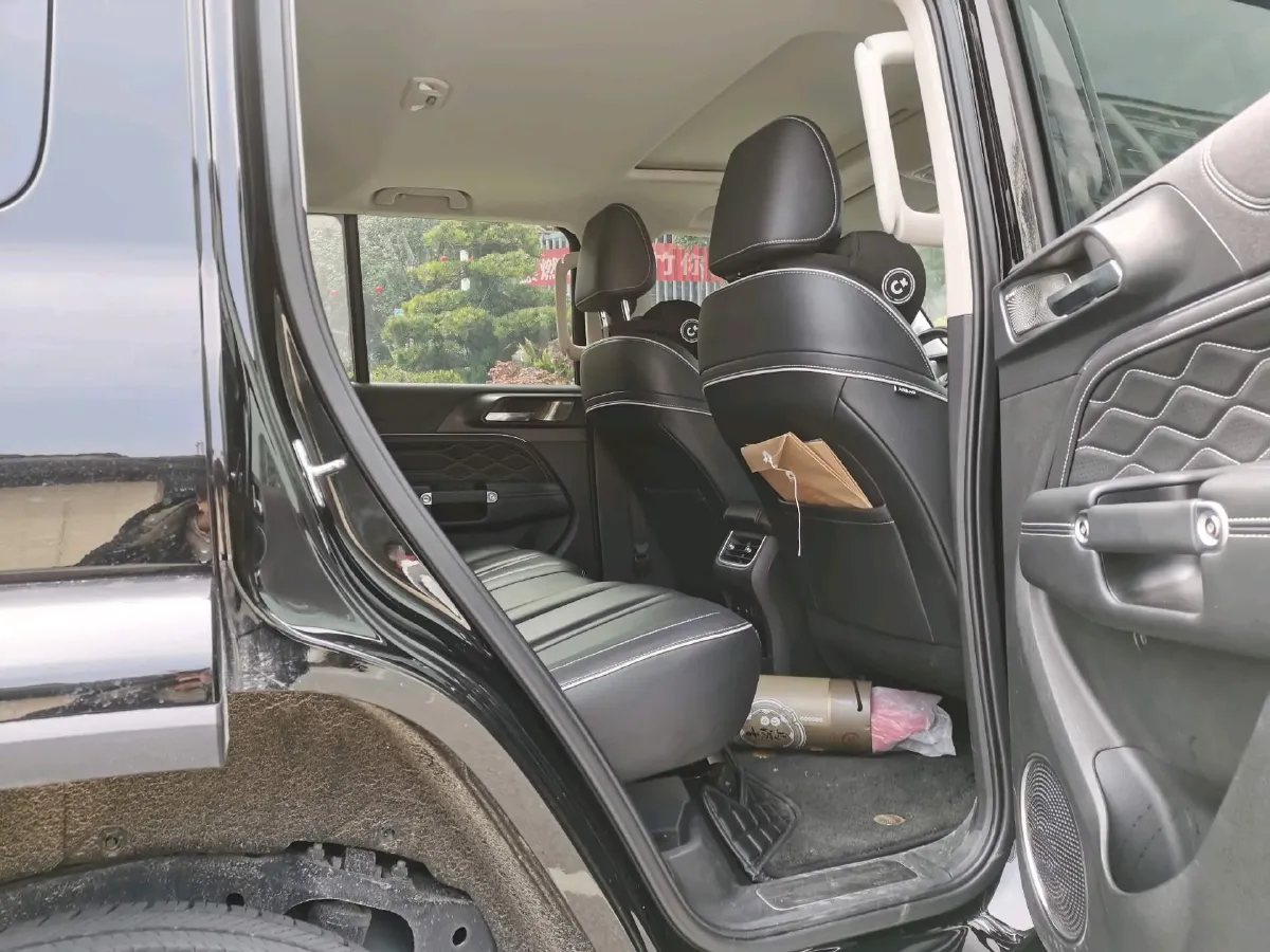 2024 Tank 300 2.0T 252HP L4 9AT,autocango,china used car exporter,china ev exporter,chinese used car exporter,chinese used ev exporter