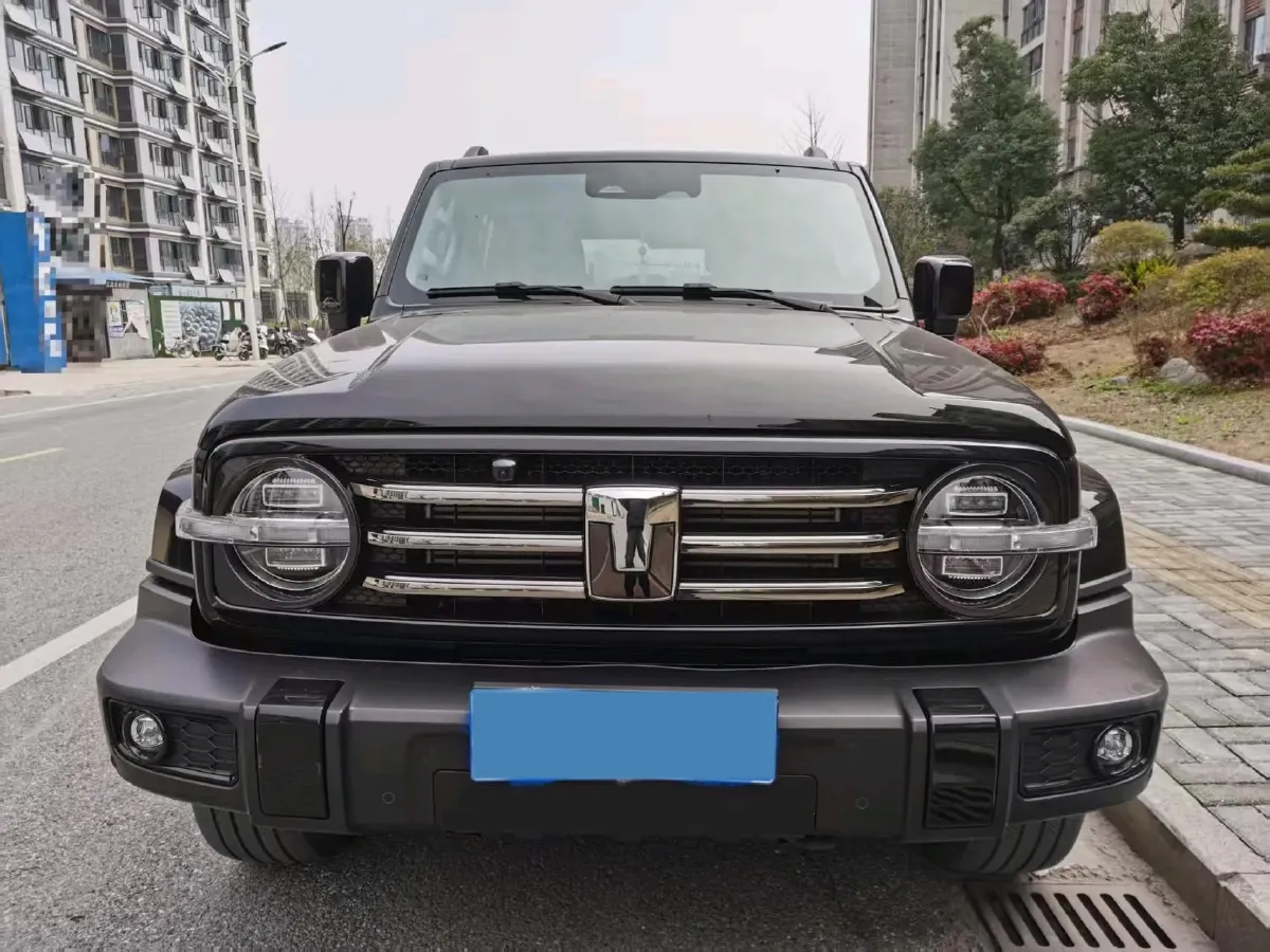 2024 Tank 300 2.0T 252HP L4 9AT,autocango,china used car exporter,china ev exporter,chinese used car exporter,chinese used ev exporter