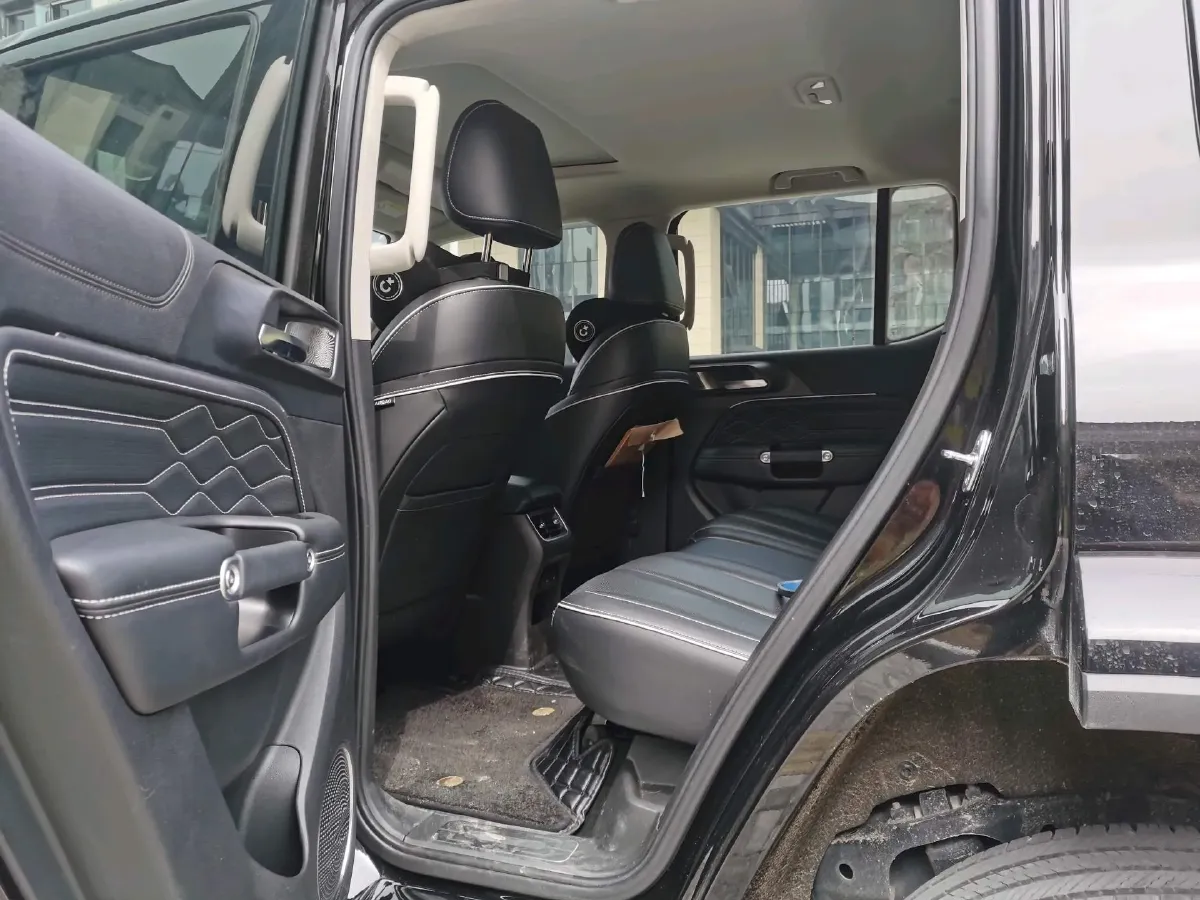 2024 Tank 300 2.0T 252HP L4 9AT,autocango,china used car exporter,china ev exporter,chinese used car exporter,chinese used ev exporter