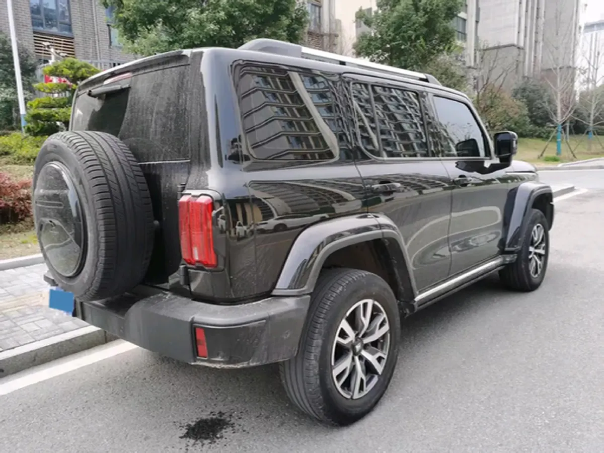 2024 Tank 300 2.0T 252HP L4 9AT,autocango,china used car exporter,china ev exporter,chinese used car exporter,chinese used ev exporter