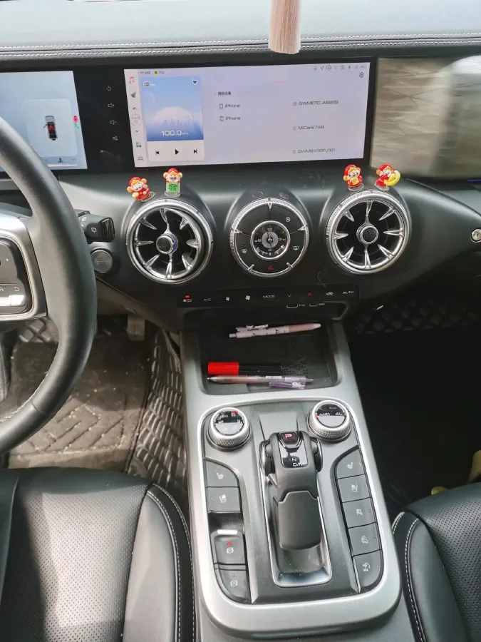 2024 Tank 300 2.0T 252HP L4 9AT,autocango,china used car exporter,china ev exporter,chinese used car exporter,chinese used ev exporter