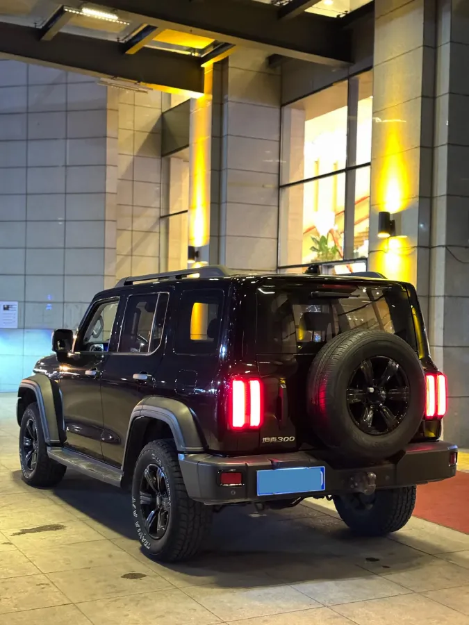 2021 Tank 300 2.0T 227HP L4 8AT,autocango,china used car exporter,china ev exporter,chinese used car exporter,chinese used ev exporter