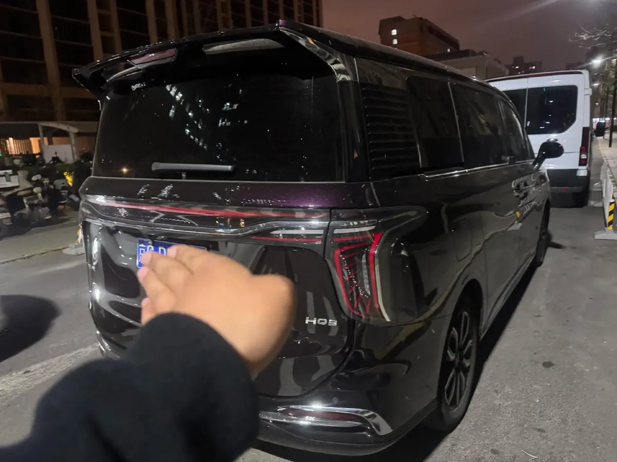 2023 HongQi HQ9 2.0T 252HP L4 8AT,autocango,china used car exporter,china ev exporter,chinese used car exporter,chinese used ev exporter