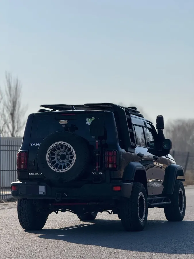 2023 Tank 300 2.0T 227HP L4 8AT,autocango,china used car exporter,china ev exporter,chinese used car exporter,chinese used ev exporter