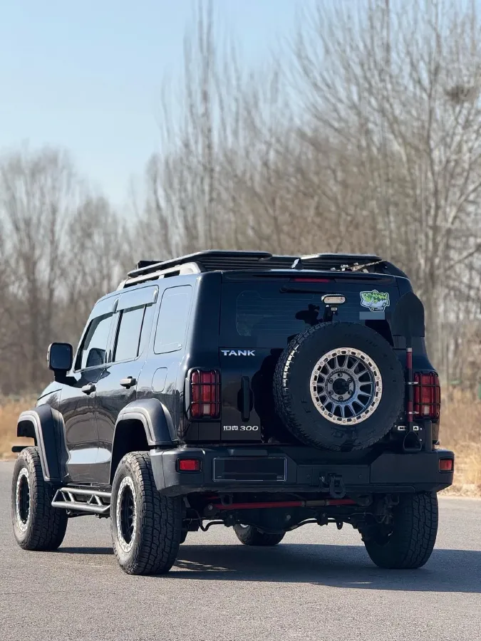 2023 Tank 300 2.0T 227HP L4 8AT,autocango,china used car exporter,china ev exporter,chinese used car exporter,chinese used ev exporter