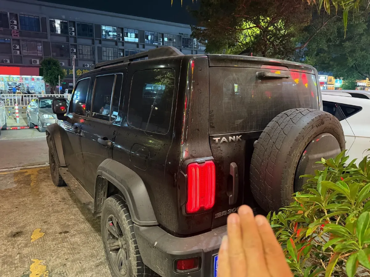 2021 Tank 300 2.0T 227HP L4 8AT,autocango,china used car exporter,china ev exporter,chinese used car exporter,chinese used ev exporter