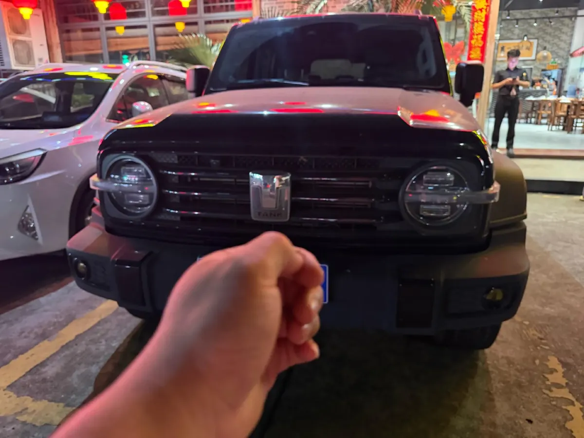 2021 Tank 300 2.0T 227HP L4 8AT,autocango,china used car exporter,china ev exporter,chinese used car exporter,chinese used ev exporter