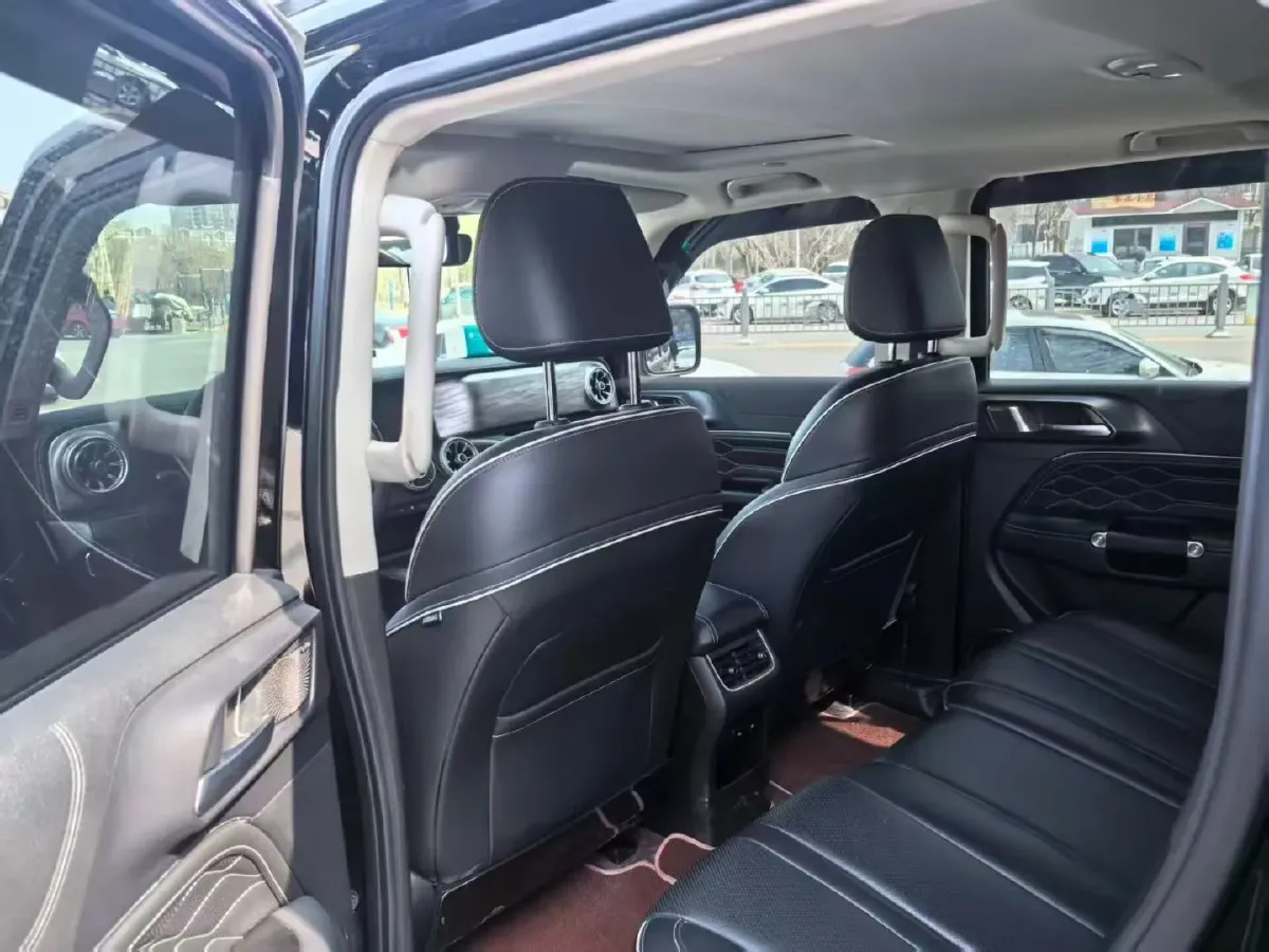 2024 Tank 300 2.0T 252HP L4 9AT,autocango,china used car exporter,china ev exporter,chinese used car exporter,chinese used ev exporter