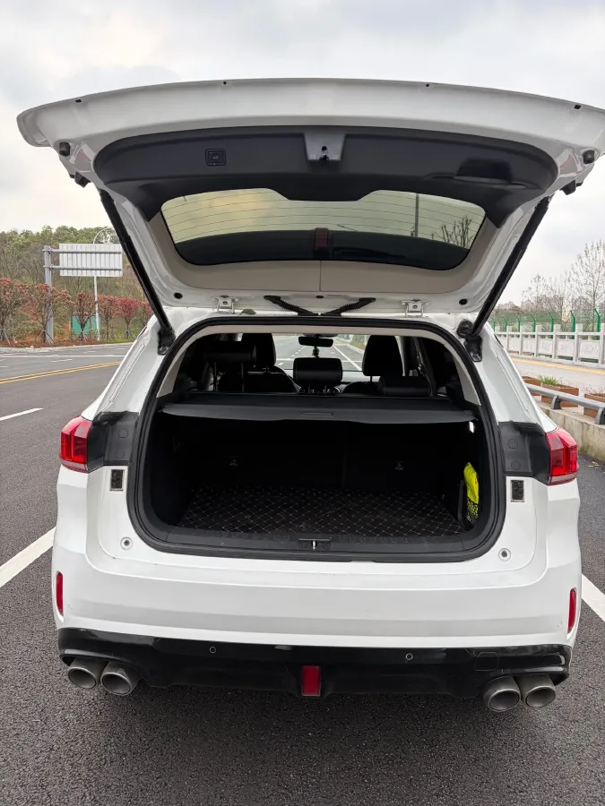 2020 WEY VV6 2.0T 227HP L4 7DCT,autocango,china used car exporter,china ev exporter,chinese used car exporter,chinese used ev exporter