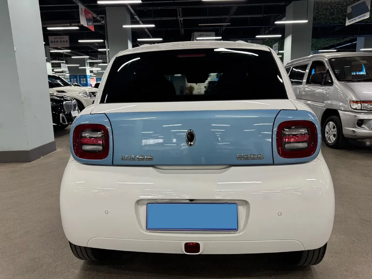 2021 Ora BlackCat BEV 36KWH,autocango,china used car exporter,china ev exporter,chinese used car exporter,chinese used ev exporter