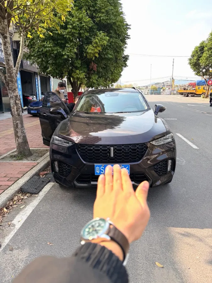 2017 WEY VV7 2.0T 234HP L4 7DCT,autocango,china used car exporter,china ev exporter,chinese used car exporter,chinese used ev exporter