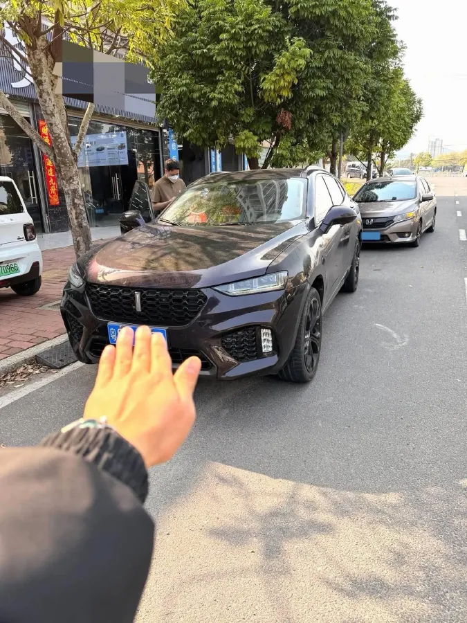 2017 WEY VV7 2.0T 234HP L4 7DCT,autocango,china used car exporter,china ev exporter,chinese used car exporter,chinese used ev exporter