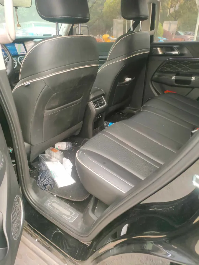 2024 Tank 300 2.0T 227HP L4 8AT,autocango,china used car exporter,china ev exporter,chinese used car exporter,chinese used ev exporter