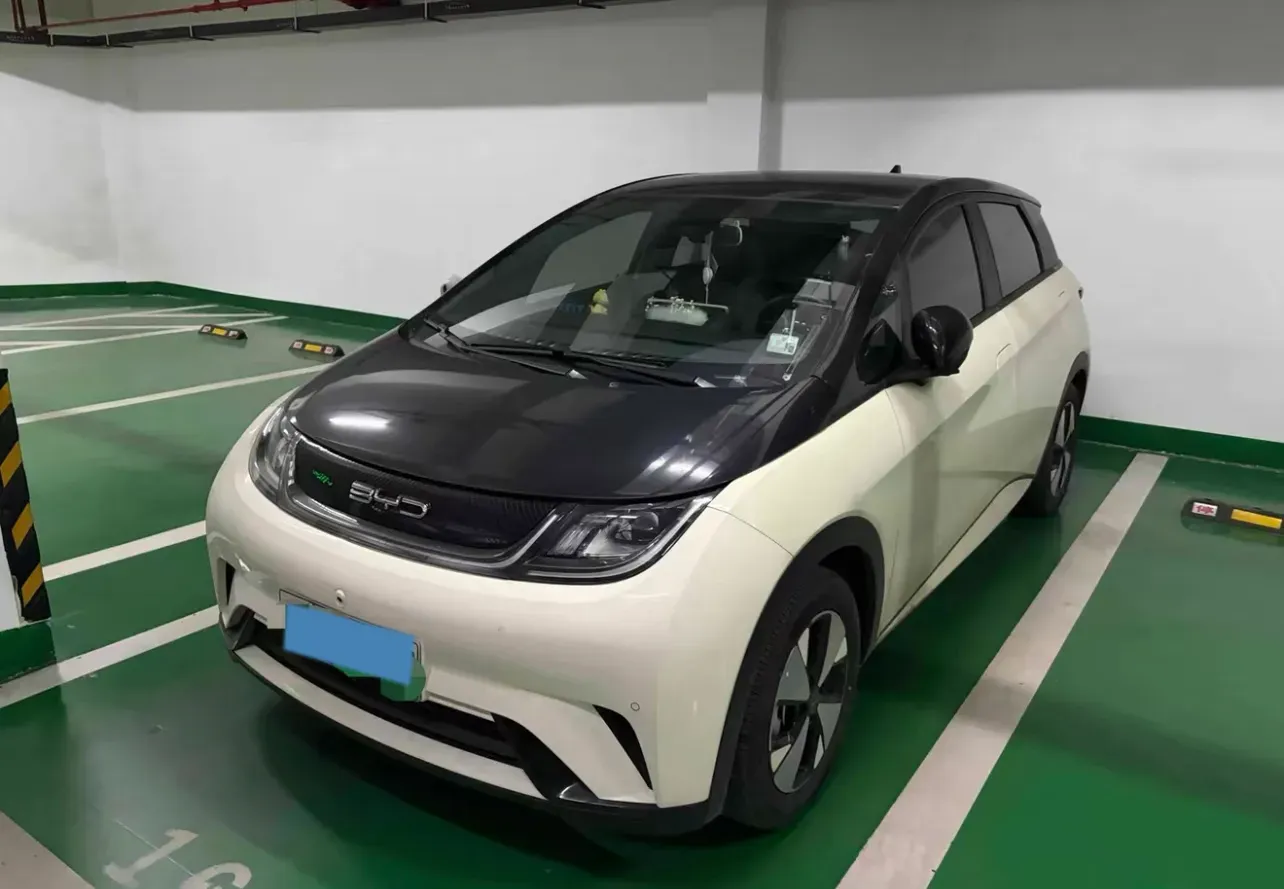 2023 BYD Dolphin BEV 44.928KWH,autocango,china used car exporter,china ev exporter,chinese used car exporter,chinese used ev exporter