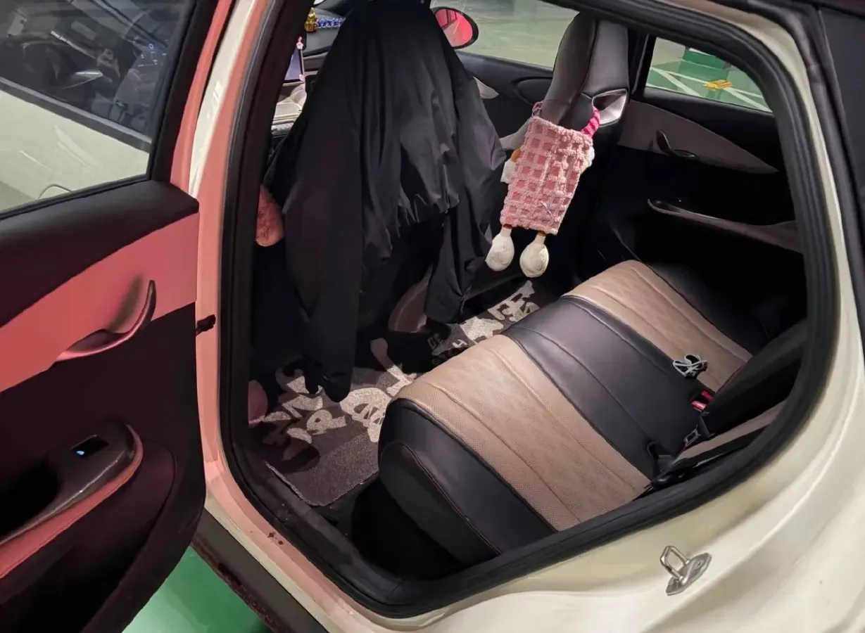 2023 BYD Dolphin BEV 44.928KWH,autocango,china used car exporter,china ev exporter,chinese used car exporter,chinese used ev exporter