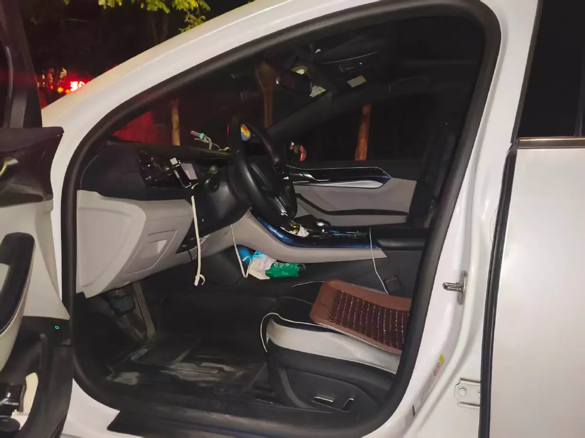 2021 DongFeng FuKang e Elysee BEV 38.4KWH,autocango,china used car exporter,china ev exporter,chinese used car exporter,chinese used ev exporter