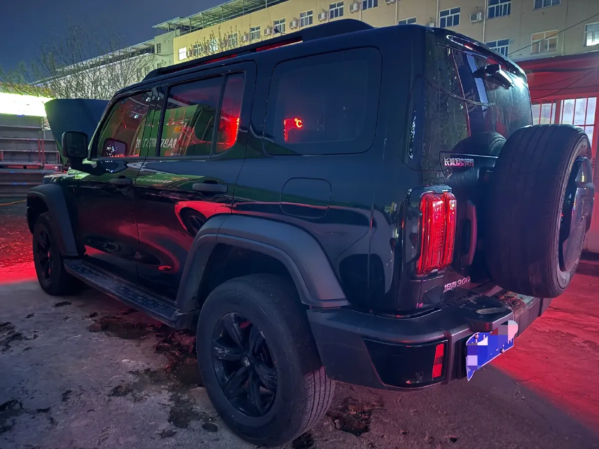 2024 Tank 300 2.0T 227HP L4 8AT,autocango,china used car exporter,china ev exporter,chinese used car exporter,chinese used ev exporter