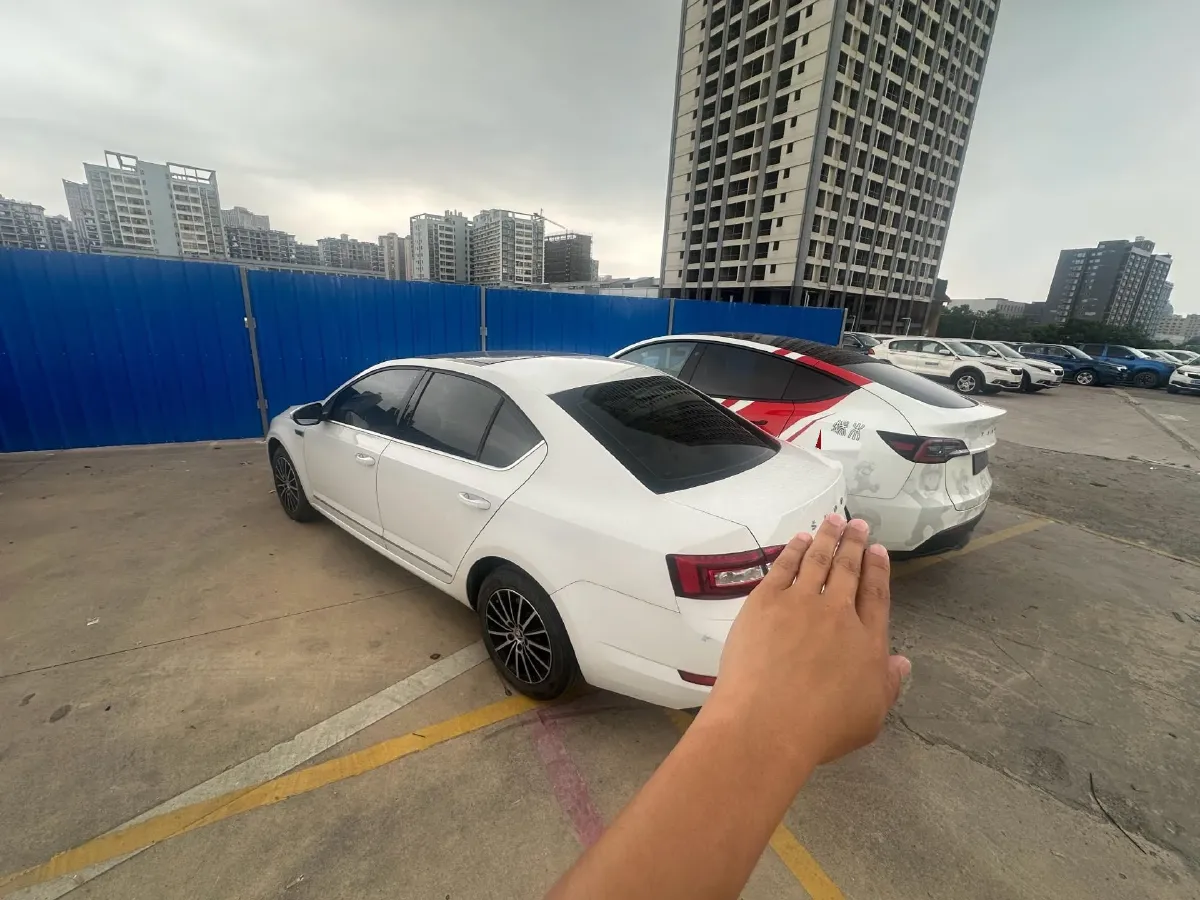 2019 Skoda Octavia 1.2T 116HP L4 7DCT,autocango,china used car exporter,china ev exporter,chinese used car exporter,chinese used ev exporter
