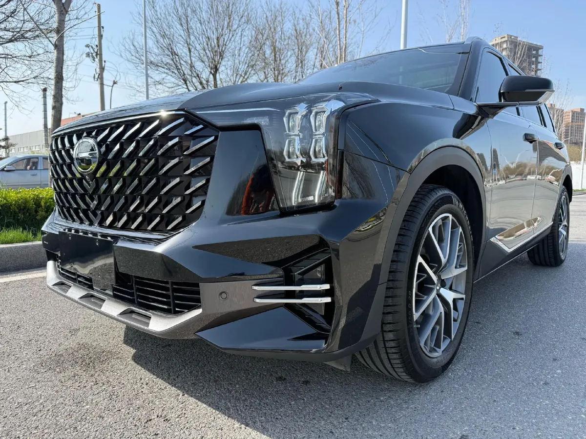 2024 GAC Trumpchi GS8 2.0T 252HP L4 8AT,autocango,china used car exporter,china ev exporter,chinese used car exporter,chinese used ev exporter