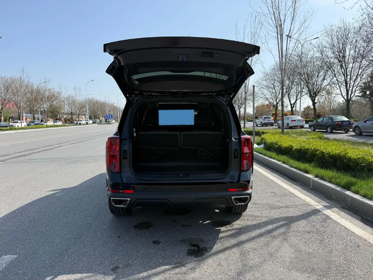 2024 GAC Trumpchi GS8 2.0T 252HP L4 8AT,autocango,china used car exporter,china ev exporter,chinese used car exporter,chinese used ev exporter