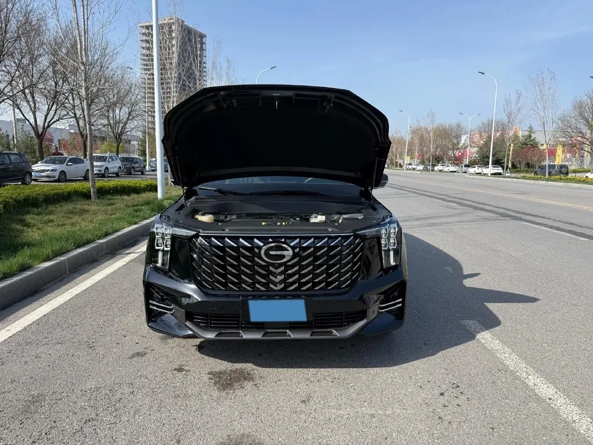 2024 GAC Trumpchi GS8 2.0T 252HP L4 8AT,autocango,china used car exporter,china ev exporter,chinese used car exporter,chinese used ev exporter