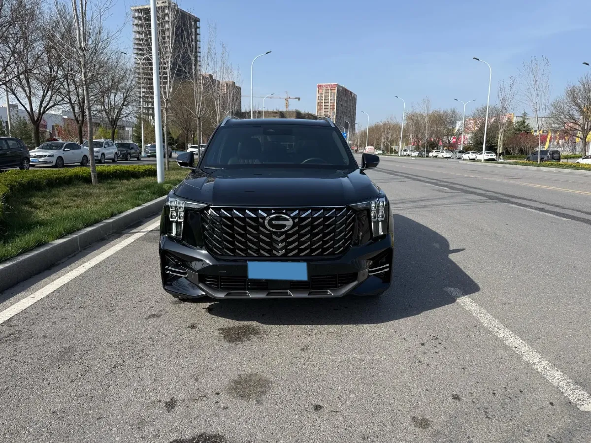 2024 GAC Trumpchi GS8 2.0T 252HP L4 8AT,autocango,china used car exporter,china ev exporter,chinese used car exporter,chinese used ev exporter