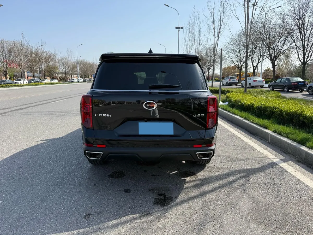 2024 GAC Trumpchi GS8 2.0T 252HP L4 8AT,autocango,china used car exporter,china ev exporter,chinese used car exporter,chinese used ev exporter