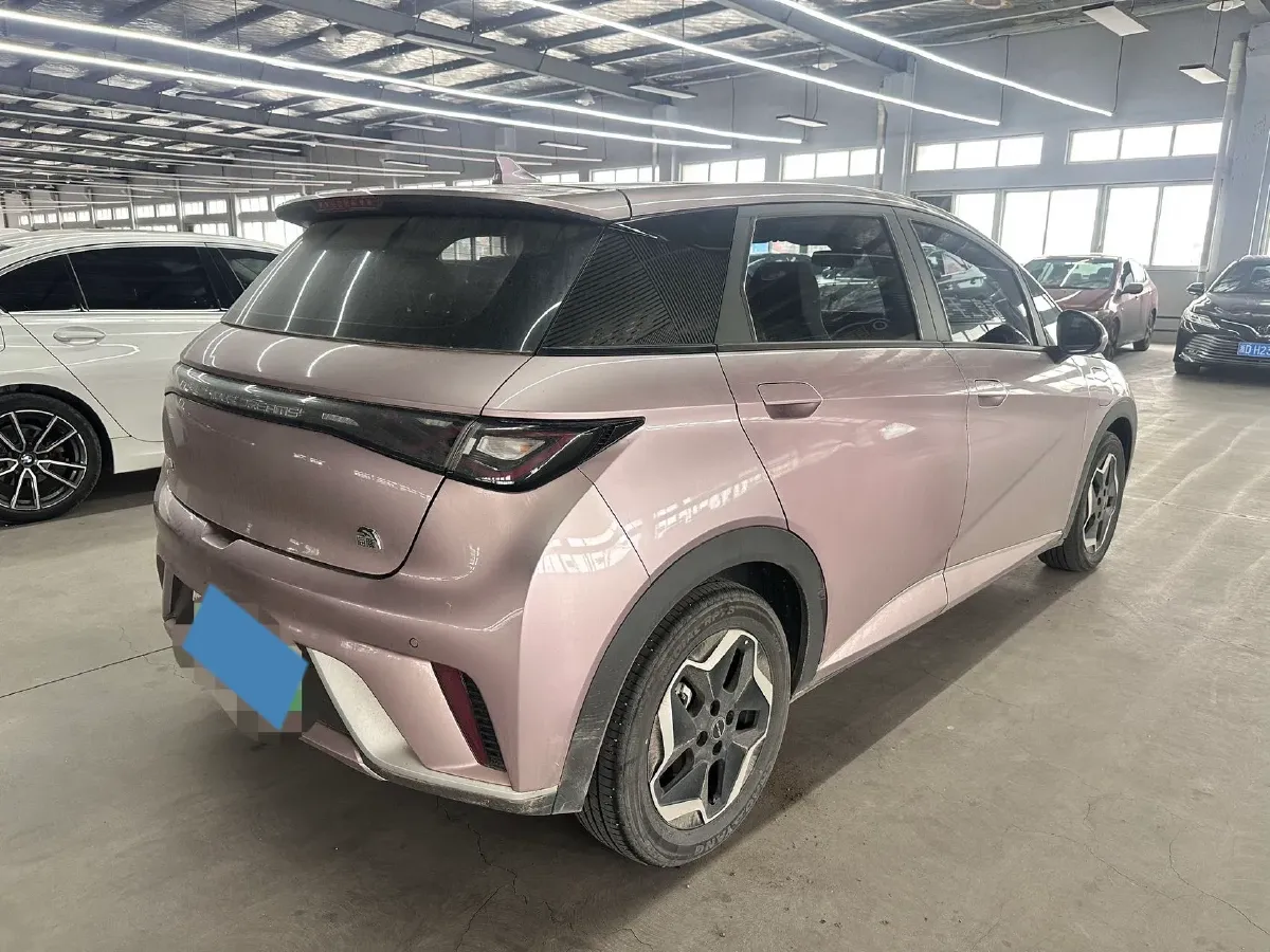 2021 BYD Yuan Pro BEV 50.1KWH,autocango,china used car exporter,china ev exporter,chinese used car exporter,chinese used ev exporter