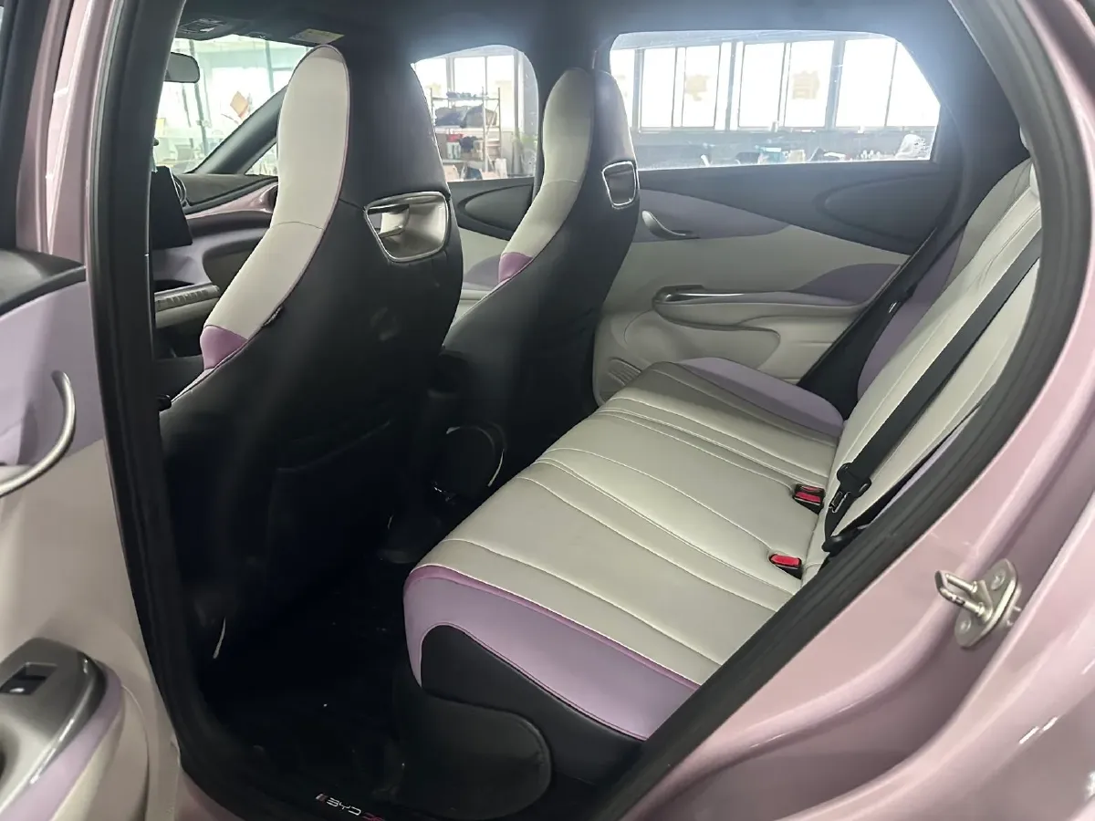 2021 BYD Yuan Pro BEV 50.1KWH,autocango,china used car exporter,china ev exporter,chinese used car exporter,chinese used ev exporter